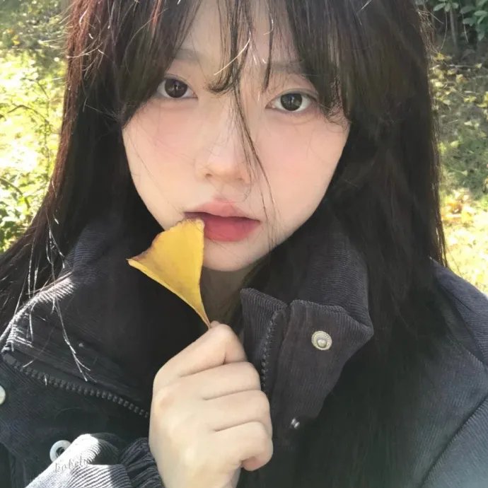 相思光年